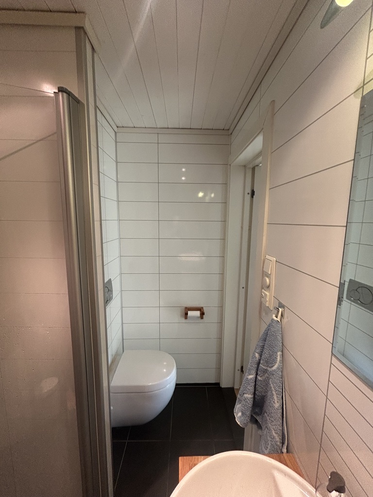 Hjelp til levering og innbæring av vaskemaskin (97,5 kg) på svært lite bad – bilde 4